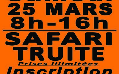 Safari truite