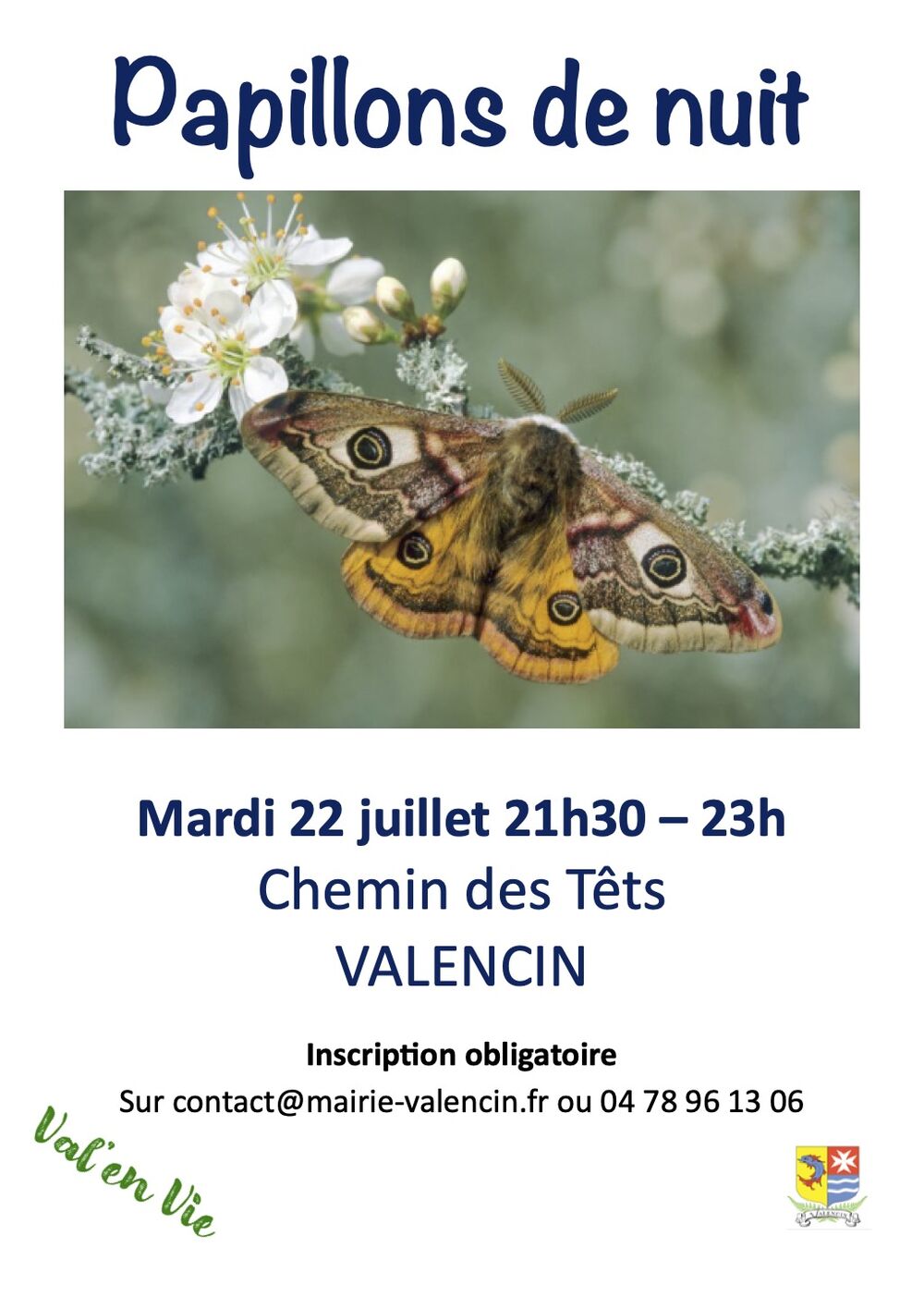 Papillons de nuit !