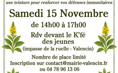 Atelier herboristerie