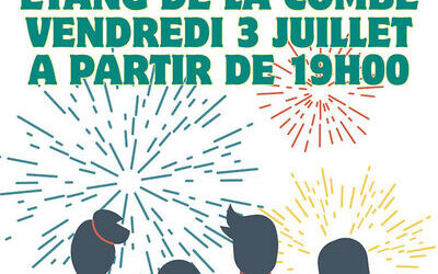 Feu d'artifice et Bal
