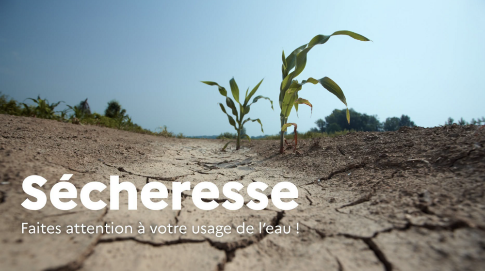 Sécheresse : les restrictions sur l'usage de l'eau Sécheresse : les restrictions sur l'usage de l'eau