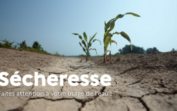 Sécheresse : les restrictions sur l'usage de l'eau