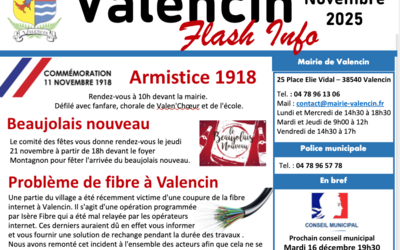 Flash info de novembre